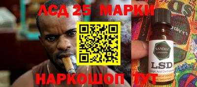 спиды Кимры